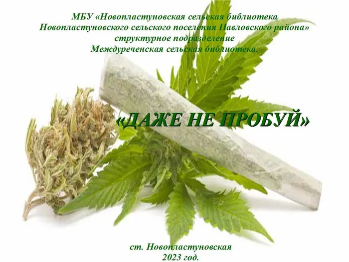1цц
