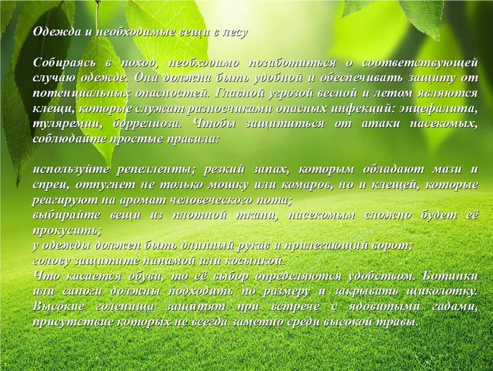 Без имени 3.jpg