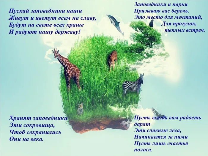 Без имени 6