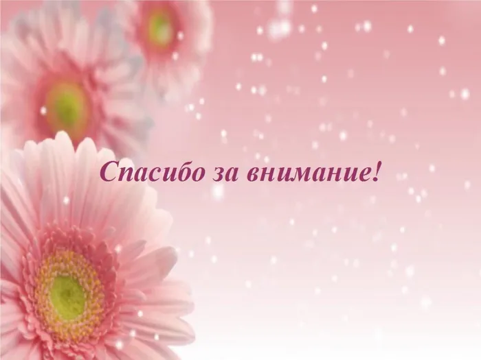 Без имени 8
